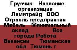 Грузчик › Название организации ­ Ламитрейд, ООО › Отрасль предприятия ­ Мебель › Минимальный оклад ­ 30 000 - Все города Работа » Вакансии   . Тюменская обл.,Тюмень г.